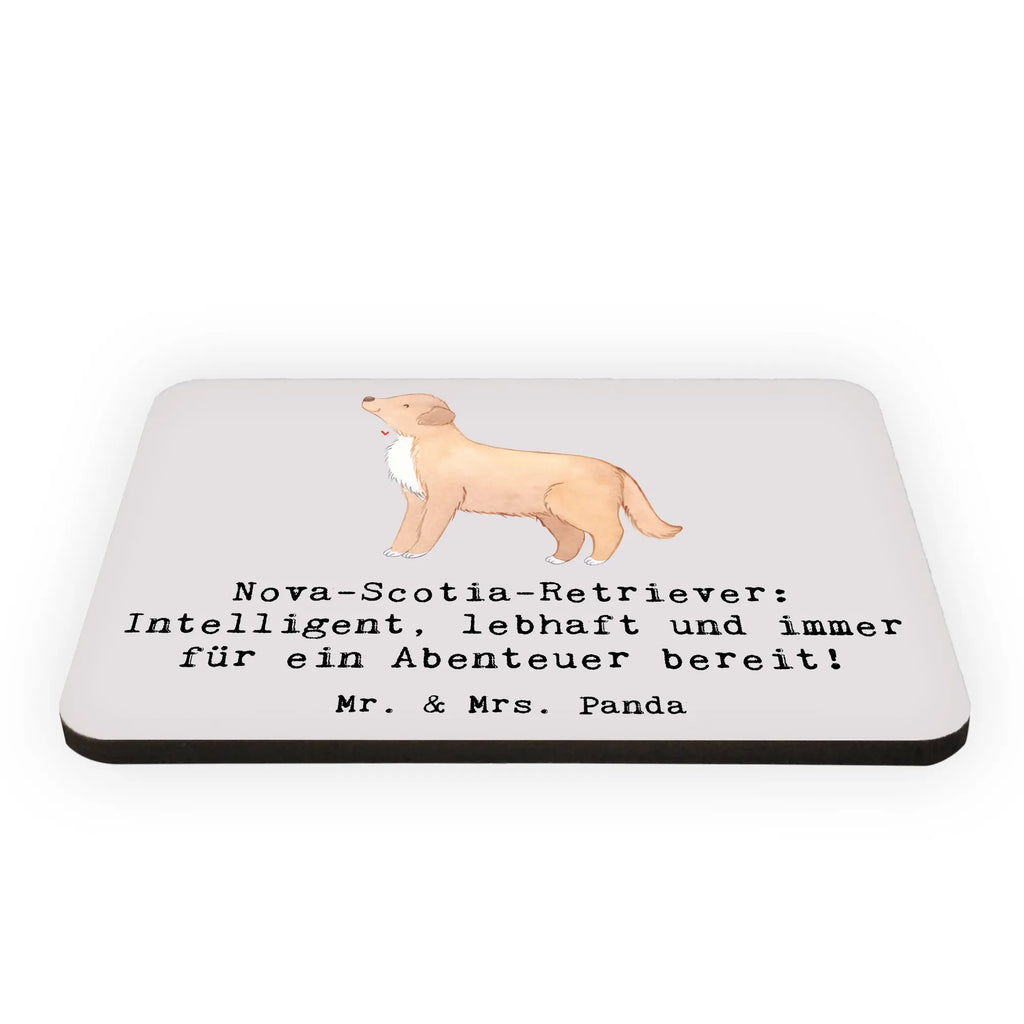Magnet Nova-Scotia-Retriever: Intelligent, lebhaft und immer für ein Abenteuer bereit! Notiz Magnet, Pinnwandmagnet, Souvenir Magnet, Motivmagnete, Whiteboard Magnet, Kühlschrankmagnet, Dekomagnet, Kühlschrank Dekoration, Hund, Hunderasse, Rassehund, Hundebesitzer, Geschenk, Tierfreund, Schenken, Welpe