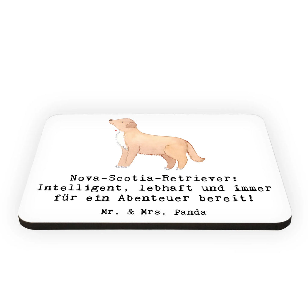 Magnet Nova-Scotia-Retriever: Intelligent, lebhaft und immer für ein Abenteuer bereit! Notiz Magnet, Pinnwandmagnet, Souvenir Magnet, Motivmagnete, Whiteboard Magnet, Kühlschrankmagnet, Dekomagnet, Kühlschrank Dekoration, Hund, Hunderasse, Rassehund, Hundebesitzer, Geschenk, Tierfreund, Schenken, Welpe