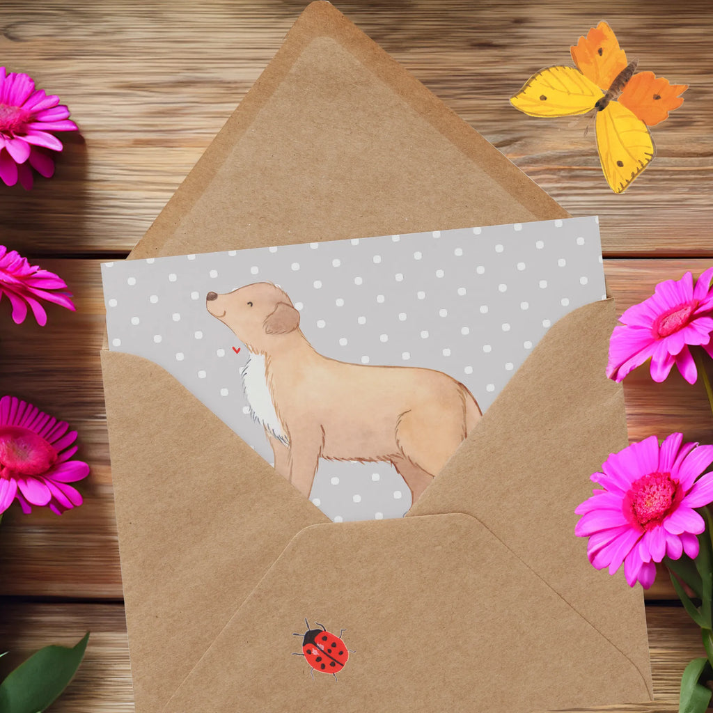 Deluxe Card Nova-Scotia-Retriever: Intelligent, lebhaft und immer für ein Abenteuer bereit! Hochzeitskarte, Karte, Geburtstagskarte, Einladungskarte, Hochwertige Grußkarte, Klappkarte, Hochwertige Klappkarte, Grußkarte, Glückwunschkarte, Hund, Hunderasse, Rassehund, Hundebesitzer, Geschenk, Tierfreund, Schenken, Welpe