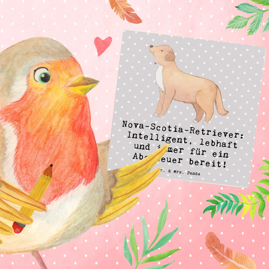 Deluxe Card Nova-Scotia-Retriever: Intelligent, lebhaft und immer für ein Abenteuer bereit! Hochzeitskarte, Karte, Geburtstagskarte, Einladungskarte, Hochwertige Grußkarte, Klappkarte, Hochwertige Klappkarte, Grußkarte, Glückwunschkarte, Hund, Hunderasse, Rassehund, Hundebesitzer, Geschenk, Tierfreund, Schenken, Welpe