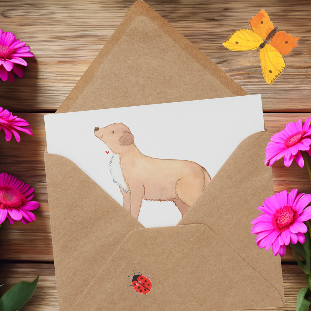 Deluxe Karte Nova Scotia Duck Abenteuer Karte, Grußkarte, Geburtstagskarte, Einladungskarte, Klappkarte, Glückwunschkarte, Hochzeitskarte, Hochwertige Grußkarte, Hochwertige Klappkarte, Hund, Hunderasse, Rassehund, Hundebesitzer, Geschenk, Tierfreund, Schenken, Welpe