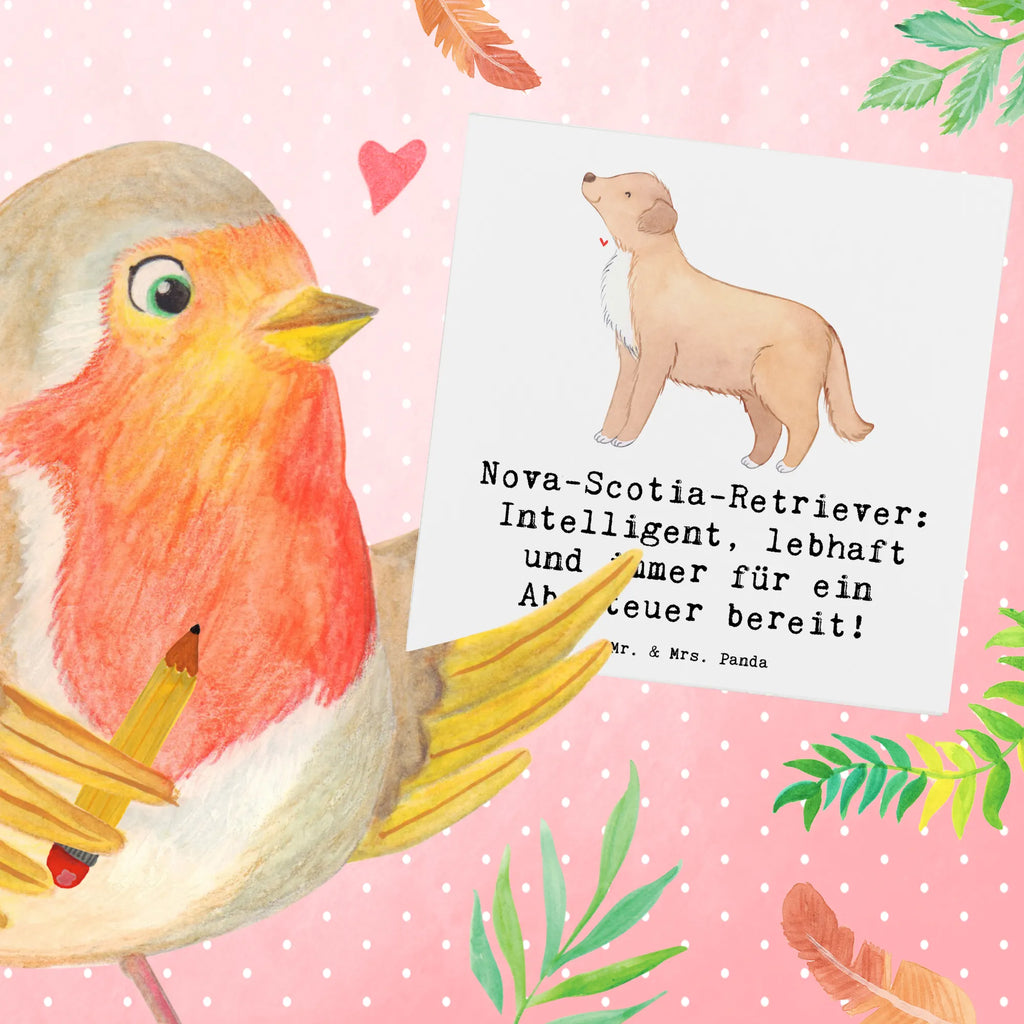 Deluxe Card Nova-Scotia-Retriever: Intelligent, lebhaft und immer für ein Abenteuer bereit! Hochzeitskarte, Karte, Geburtstagskarte, Einladungskarte, Hochwertige Grußkarte, Klappkarte, Hochwertige Klappkarte, Grußkarte, Glückwunschkarte, Hund, Hunderasse, Rassehund, Hundebesitzer, Geschenk, Tierfreund, Schenken, Welpe