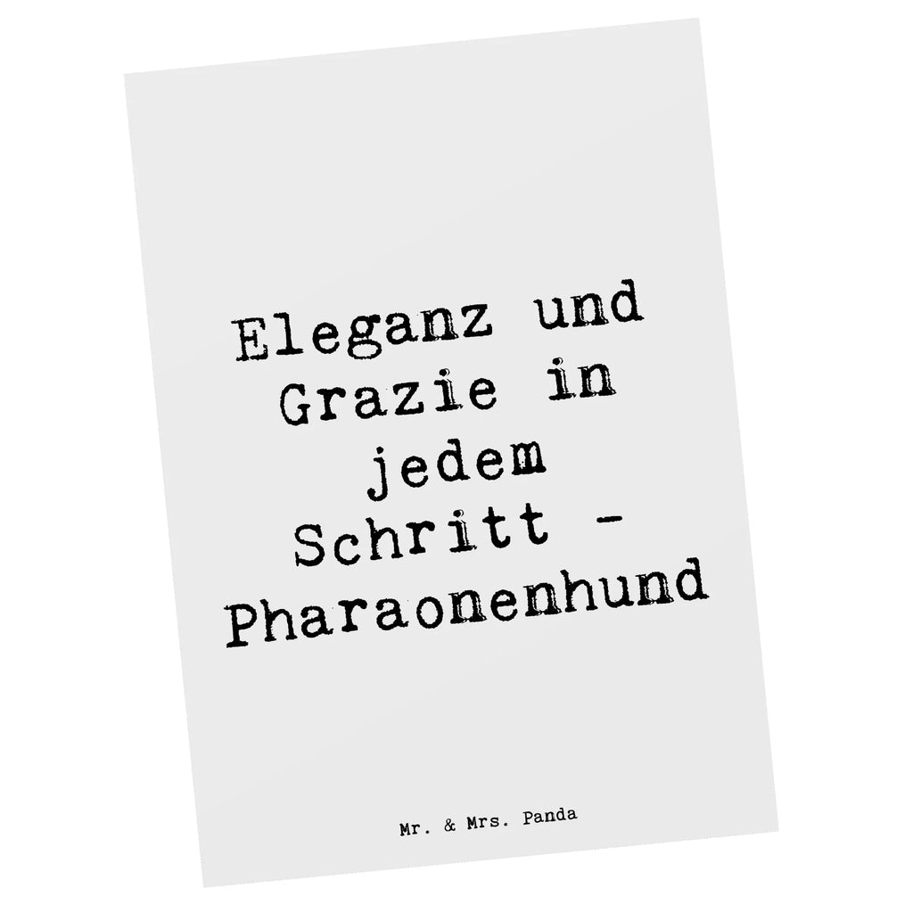 Postcard Saying Eleganz und Grazie in jedem Schritt - Pharaonenhund Geschenkkarte, Einladungskarten Geburtstag, Ansichtskarten, Grußkarte, Postkarte, Karte, Einladung, Einladungskarte, Einladung Geburtstag, Dankeskarte, Geburtstagskarte, Ansichtskarte, Hund, Hunderasse, Rassehund, Hundebesitzer, Geschenk, Tierfreund, Schenken, Welpe