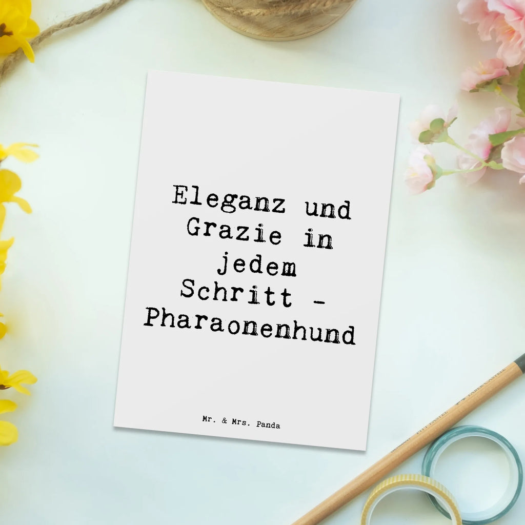 Postcard Saying Eleganz und Grazie in jedem Schritt - Pharaonenhund Geschenkkarte, Einladungskarten Geburtstag, Ansichtskarten, Grußkarte, Postkarte, Karte, Einladung, Einladungskarte, Einladung Geburtstag, Dankeskarte, Geburtstagskarte, Ansichtskarte, Hund, Hunderasse, Rassehund, Hundebesitzer, Geschenk, Tierfreund, Schenken, Welpe