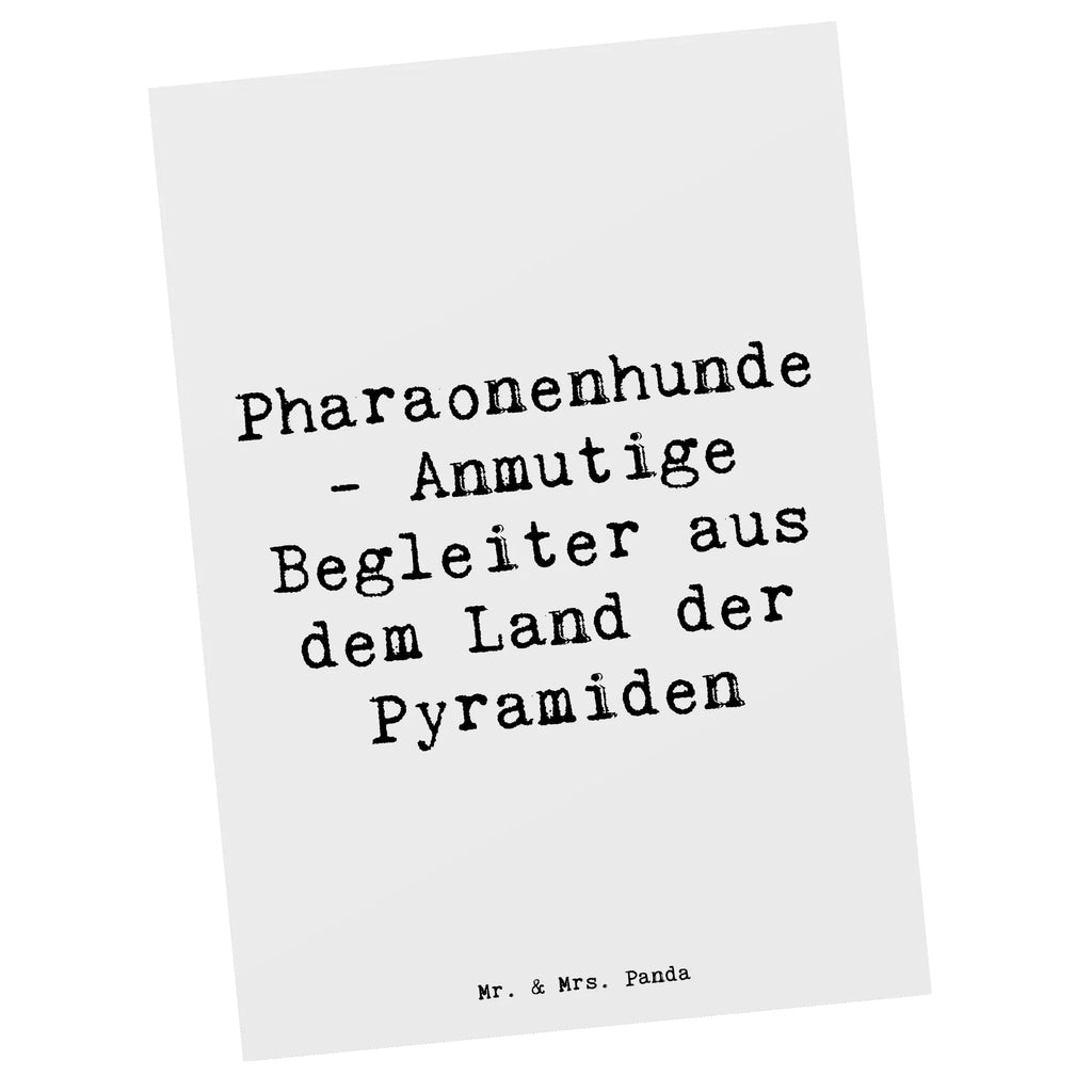 Postcard Saying Pharaonenhunde - Anmutige Begleiter aus dem Land der Pyramiden Ansichtskarte, Einladungskarten Geburtstag, Geschenkkarte, Dankeskarte, Geburtstagskarte, Ansichtskarten, Karte, Einladungskarte, Grußkarte, Postkarte, Einladung, Einladung Geburtstag, Hund, Hunderasse, Rassehund, Hundebesitzer, Geschenk, Tierfreund, Schenken, Welpe