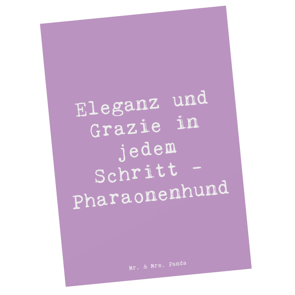 Postcard Saying Eleganz und Grazie in jedem Schritt - Pharaonenhund Geschenkkarte, Einladungskarten Geburtstag, Ansichtskarten, Grußkarte, Postkarte, Karte, Einladung, Einladungskarte, Einladung Geburtstag, Dankeskarte, Geburtstagskarte, Ansichtskarte, Hund, Hunderasse, Rassehund, Hundebesitzer, Geschenk, Tierfreund, Schenken, Welpe