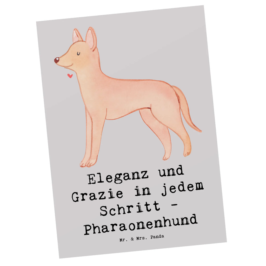 Postcard Eleganz und Grazie in jedem Schritt - Pharaonenhund Postkarte, Grußkarte, Geschenkkarte, Ansichtskarten, Dankeskarte, Einladungskarten Geburtstag, Ansichtskarte, Geburtstagskarte, Einladung, Karte, Einladung Geburtstag, Einladungskarte, Hund, Hunderasse, Rassehund, Hundebesitzer, Geschenk, Tierfreund, Schenken, Welpe