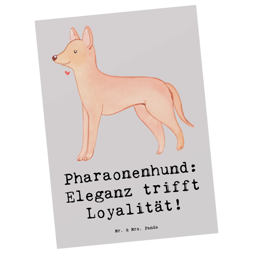 Postcard Pharaonenhund: Eleganz trifft Loyalität! Karte, Ansichtskarte, Geburtstagskarte, Grußkarte, Geschenkkarte, Postkarte, Dankeskarte, Ansichtskarten, Einladungskarten Geburtstag, Einladung, Einladung Geburtstag, Einladungskarte, Hund, Hunderasse, Rassehund, Hundebesitzer, Geschenk, Tierfreund, Schenken, Welpe
