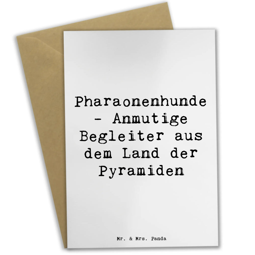 Greetings card Saying Pharaonenhunde - Anmutige Begleiter aus dem Land der Pyramiden Einladungskarte, Glückwunschkarte, Hochzeitskarte, Grußkarte, Ansichtskarten, Geburtstagskarte, Klappkarte, Karte, Hund, Hunderasse, Rassehund, Hundebesitzer, Geschenk, Tierfreund, Schenken, Welpe