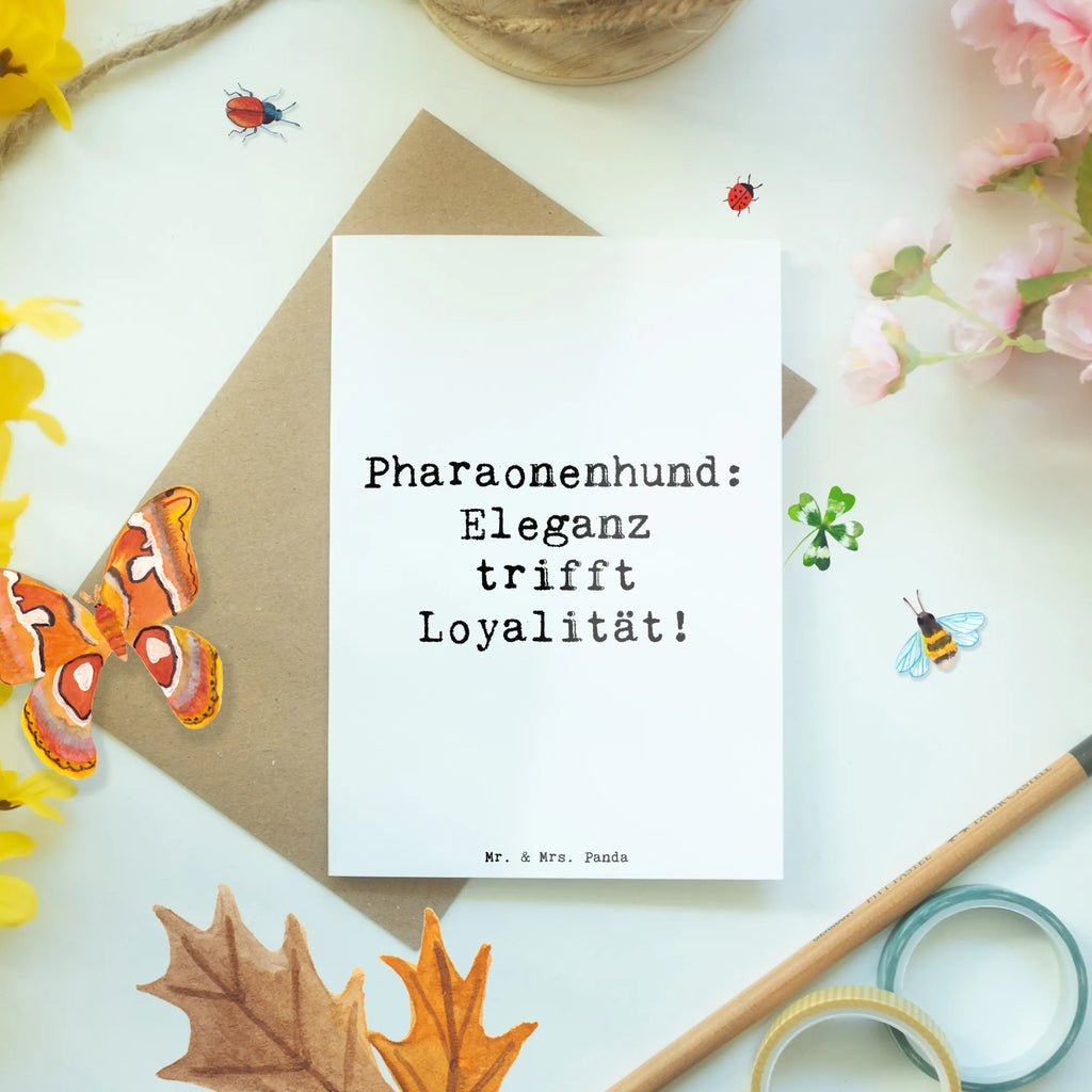 Grußkarte Spruch Pharaonenhund Eleganz Grußkarte, Karte, Klappkarte, Geburtstagskarte, Ansichtskarten, Hochzeitskarte, Glückwunschkarte, Einladungskarte, Hund, Hunderasse, Rassehund, Hundebesitzer, Geschenk, Tierfreund, Schenken, Welpe