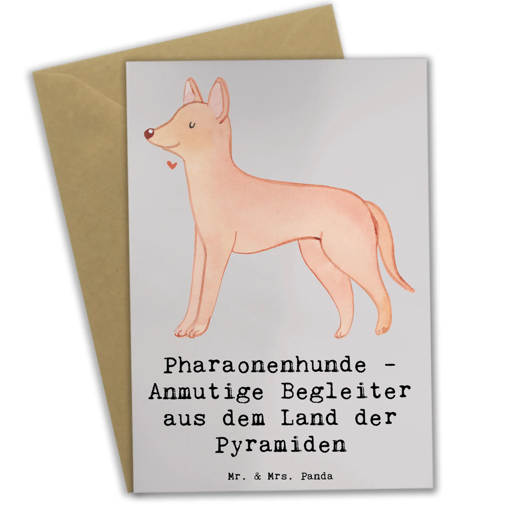 Greetings card Pharaonenhunde - Anmutige Begleiter aus dem Land der Pyramiden Geburtstagskarte, Karte, Hochzeitskarte, Glückwunschkarte, Einladungskarte, Klappkarte, Grußkarte, Ansichtskarten, Hund, Hunderasse, Rassehund, Hundebesitzer, Geschenk, Tierfreund, Schenken, Welpe