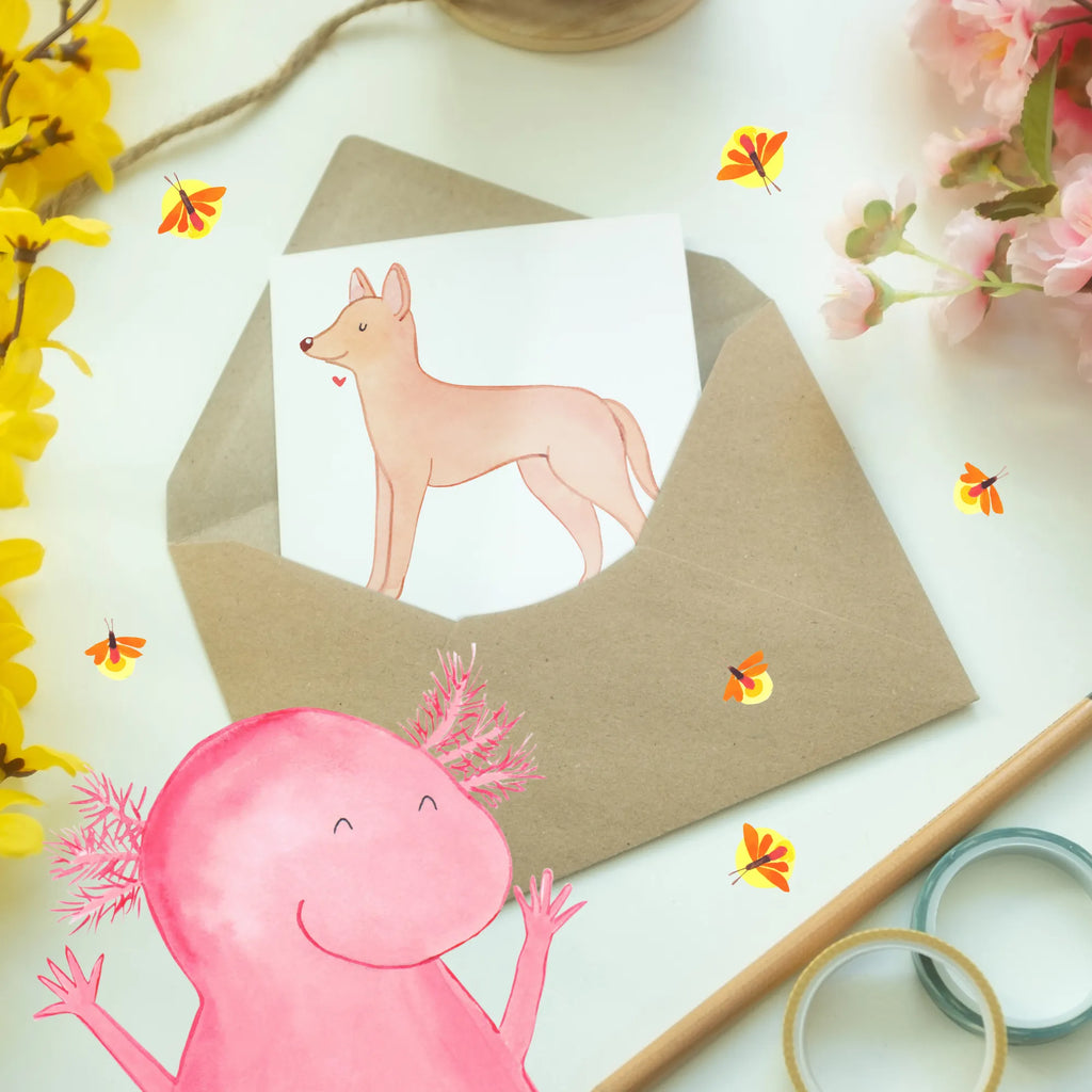 Greetings card Pharaonenhunde - Anmutige Begleiter aus dem Land der Pyramiden Geburtstagskarte, Karte, Hochzeitskarte, Glückwunschkarte, Einladungskarte, Klappkarte, Grußkarte, Ansichtskarten, Hund, Hunderasse, Rassehund, Hundebesitzer, Geschenk, Tierfreund, Schenken, Welpe