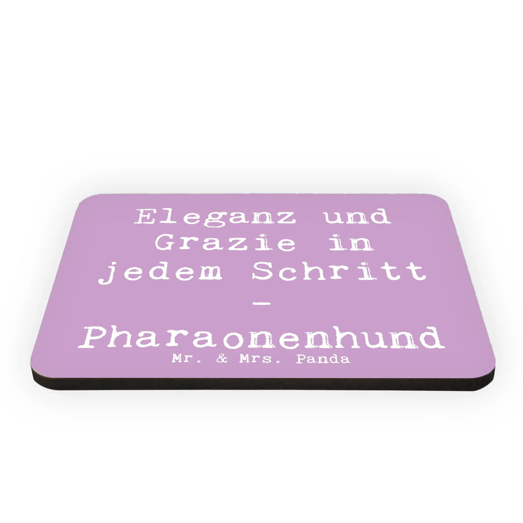 Magnet Spruch Eleganter Pharaonenhund Kühlschrank Dekoration, Motivmagnete, Notiz Magnet, Whiteboard Magnet, Pinnwandmagnet, Dekomagnet, Souvenir Magnet, Kühlschrankmagnet, Hund, Hunderasse, Rassehund, Hundebesitzer, Geschenk, Tierfreund, Schenken, Welpe