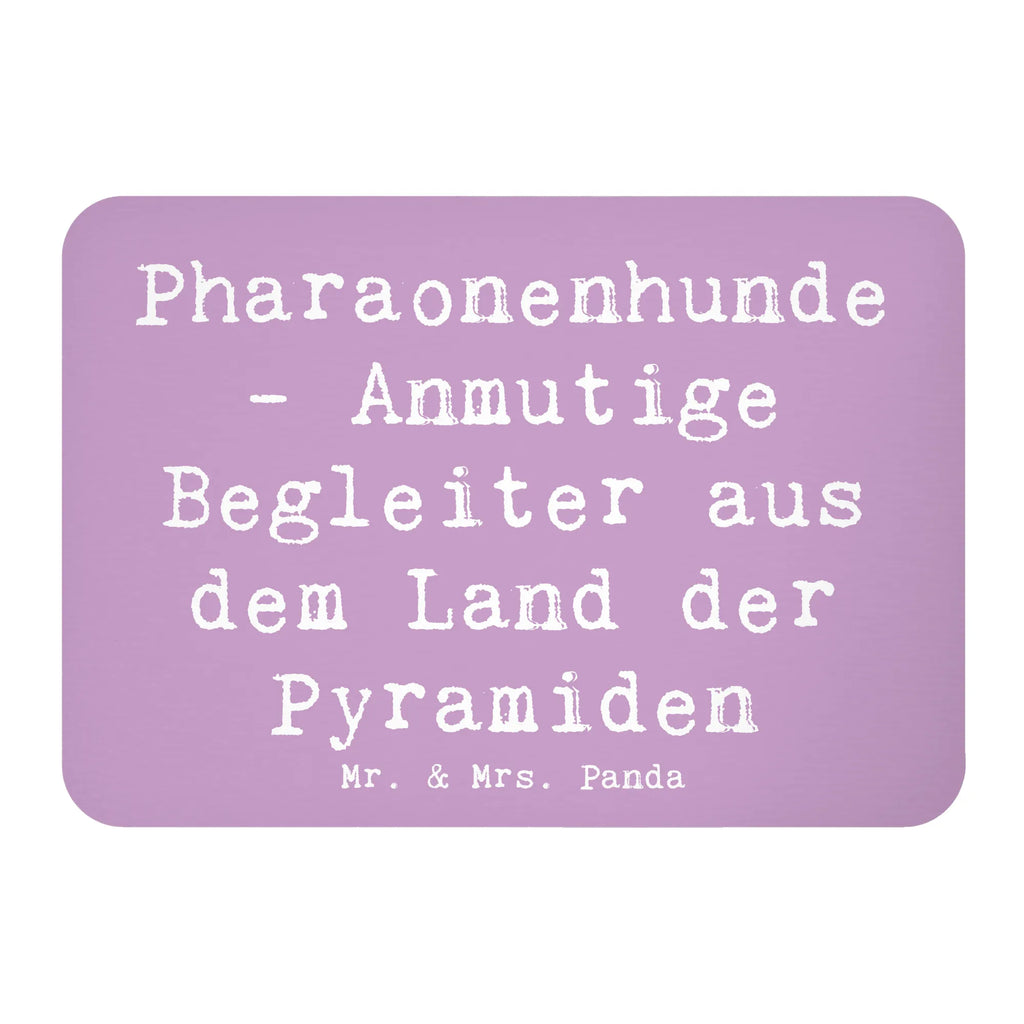 Magnet Saying Pharaonenhunde - Anmutige Begleiter aus dem Land der Pyramiden Pinnwandmagnet, Kühlschrankmagnet, Notiz Magnet, Motivmagnete, Kühlschrank Dekoration, Souvenir Magnet, Dekomagnet, Whiteboard Magnet, Hund, Hunderasse, Rassehund, Hundebesitzer, Geschenk, Tierfreund, Schenken, Welpe
