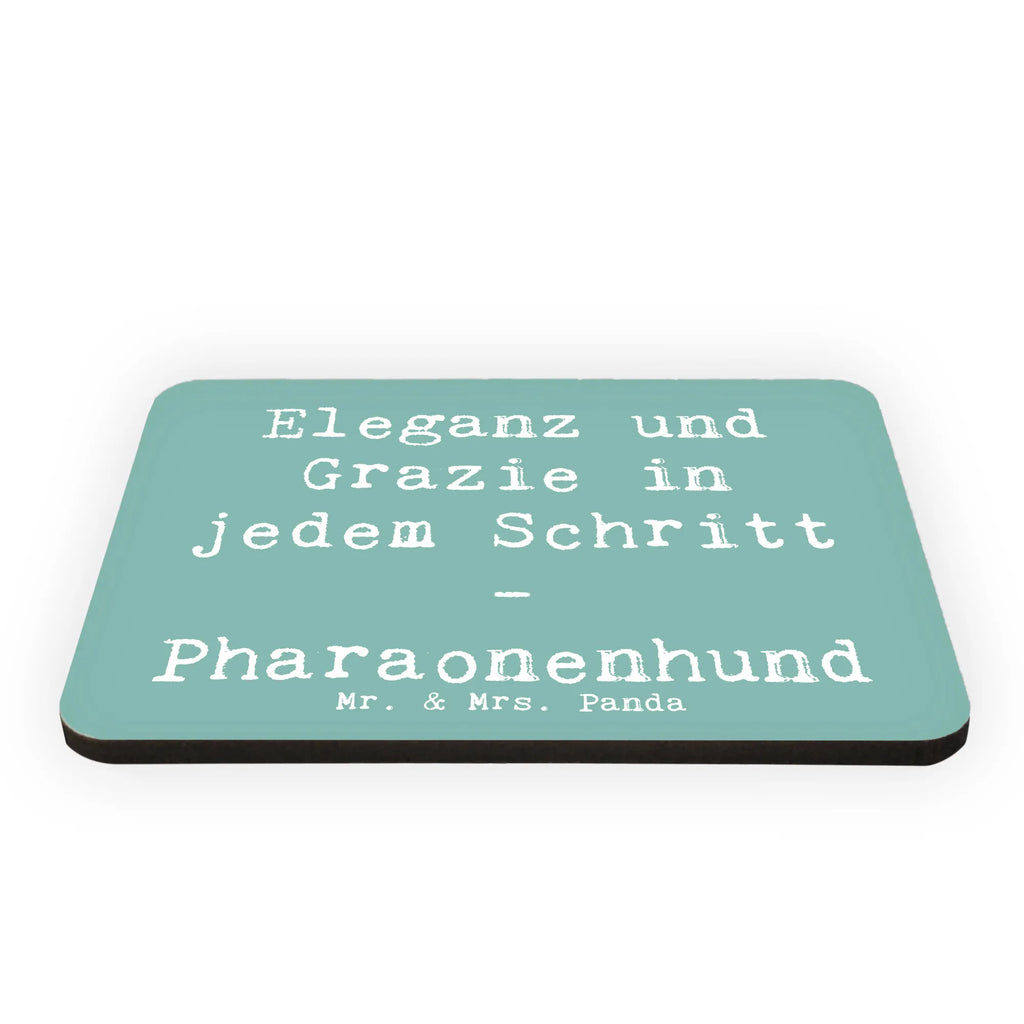 Magnet Spruch Eleganter Pharaonenhund Kühlschrank Dekoration, Motivmagnete, Notiz Magnet, Whiteboard Magnet, Pinnwandmagnet, Dekomagnet, Souvenir Magnet, Kühlschrankmagnet, Hund, Hunderasse, Rassehund, Hundebesitzer, Geschenk, Tierfreund, Schenken, Welpe