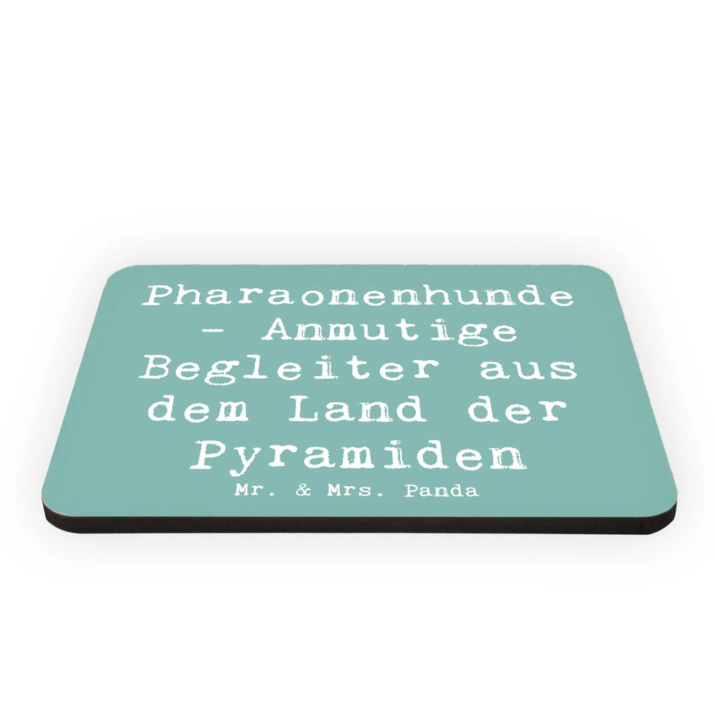 Magnet Saying Pharaonenhunde - Anmutige Begleiter aus dem Land der Pyramiden Pinnwandmagnet, Kühlschrankmagnet, Notiz Magnet, Motivmagnete, Kühlschrank Dekoration, Souvenir Magnet, Dekomagnet, Whiteboard Magnet, Hund, Hunderasse, Rassehund, Hundebesitzer, Geschenk, Tierfreund, Schenken, Welpe