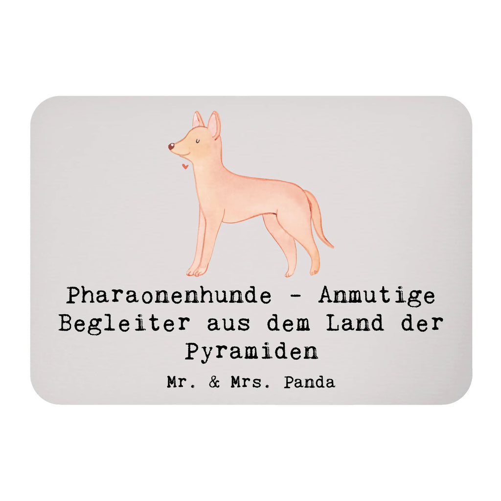 Magnet Pharaonenhund Freunde Kühlschrankmagnet, Pinnwandmagnet, Dekomagnet, Kühlschrank Dekoration, Whiteboard Magnet, Motivmagnete, Souvenir Magnet, Notiz Magnet, Hund, Hunderasse, Rassehund, Hundebesitzer, Geschenk, Tierfreund, Schenken, Welpe