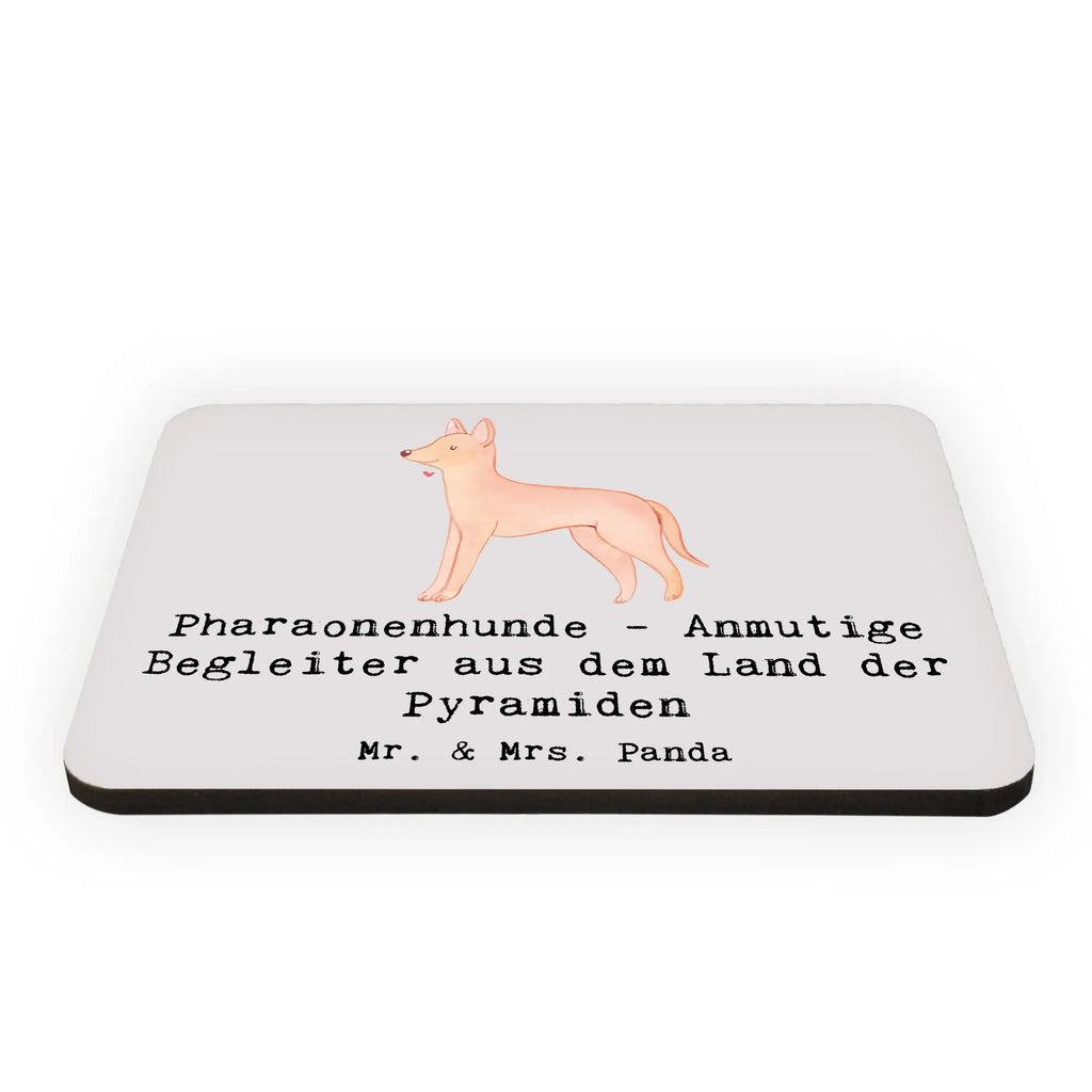 Magnet Pharaonenhund Freunde Kühlschrankmagnet, Pinnwandmagnet, Dekomagnet, Kühlschrank Dekoration, Whiteboard Magnet, Motivmagnete, Souvenir Magnet, Notiz Magnet, Hund, Hunderasse, Rassehund, Hundebesitzer, Geschenk, Tierfreund, Schenken, Welpe