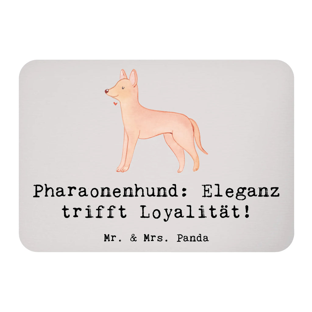 Magnet Pharaonenhund Eleganz Pinnwandmagnet, Motivmagnete, Notiz Magnet, Kühlschrankmagnet, Dekomagnet, Kühlschrank Dekoration, Whiteboard Magnet, Souvenir Magnet, Hund, Hunderasse, Rassehund, Hundebesitzer, Geschenk, Tierfreund, Schenken, Welpe