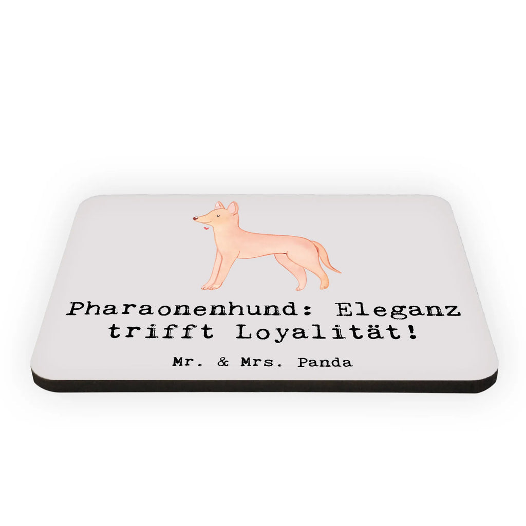 Magnet Pharaonenhund Eleganz Pinnwandmagnet, Motivmagnete, Notiz Magnet, Kühlschrankmagnet, Dekomagnet, Kühlschrank Dekoration, Whiteboard Magnet, Souvenir Magnet, Hund, Hunderasse, Rassehund, Hundebesitzer, Geschenk, Tierfreund, Schenken, Welpe