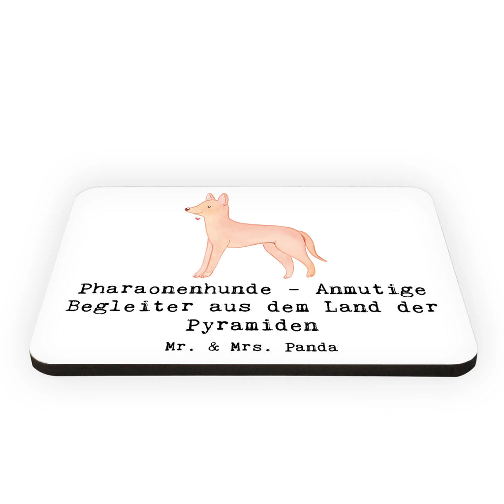 Magnet Pharaonenhund Freunde Kühlschrankmagnet, Pinnwandmagnet, Dekomagnet, Kühlschrank Dekoration, Whiteboard Magnet, Motivmagnete, Souvenir Magnet, Notiz Magnet, Hund, Hunderasse, Rassehund, Hundebesitzer, Geschenk, Tierfreund, Schenken, Welpe
