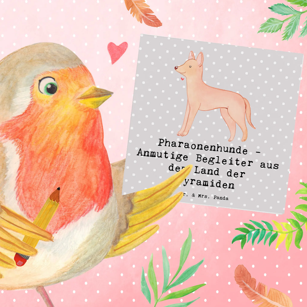 Deluxe Karte Pharaonenhund Freunde Klappkarte, Glückwunschkarte, Hochzeitskarte, Grußkarte, Hochwertige Klappkarte, Geburtstagskarte, Hochwertige Grußkarte, Karte, Einladungskarte, Hund, Hunderasse, Rassehund, Hundebesitzer, Geschenk, Tierfreund, Schenken, Welpe