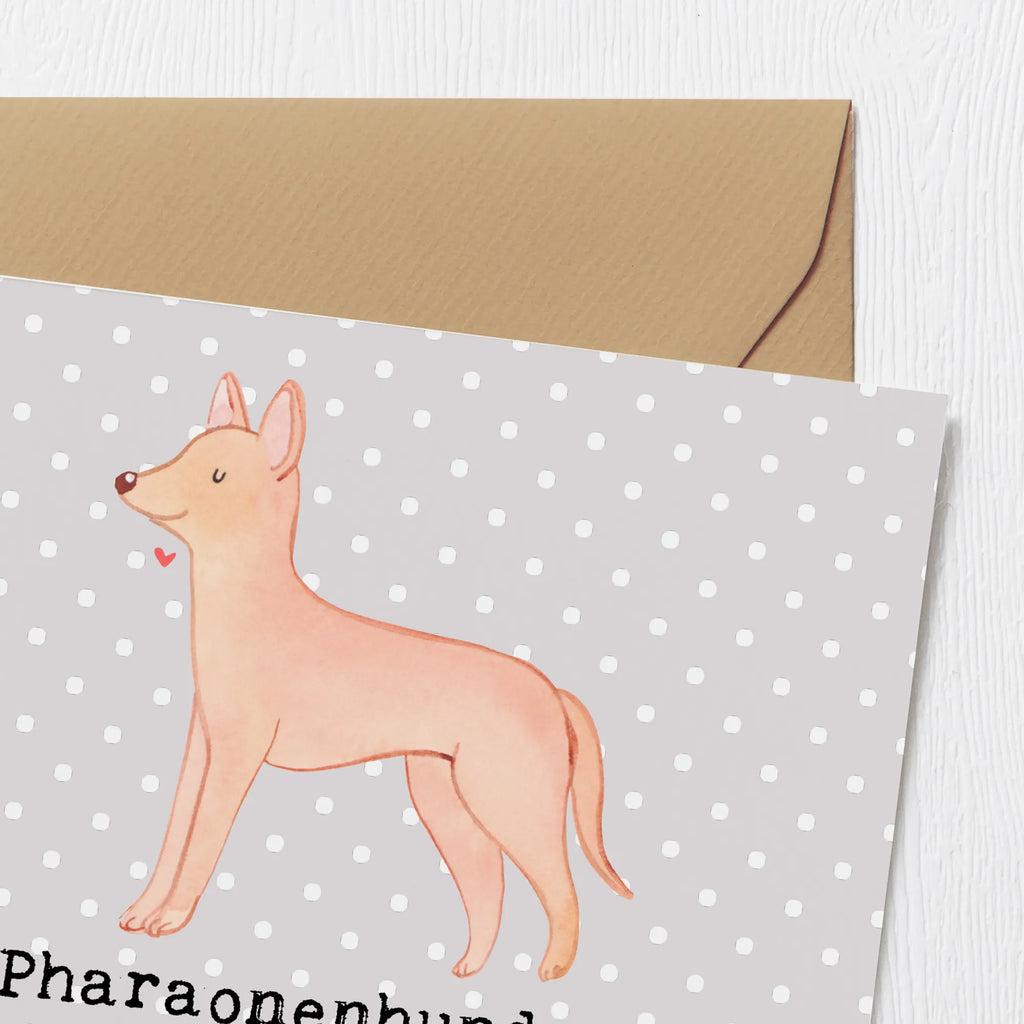 Deluxe Karte Pharaonenhund Freunde Klappkarte, Glückwunschkarte, Hochzeitskarte, Grußkarte, Hochwertige Klappkarte, Geburtstagskarte, Hochwertige Grußkarte, Karte, Einladungskarte, Hund, Hunderasse, Rassehund, Hundebesitzer, Geschenk, Tierfreund, Schenken, Welpe