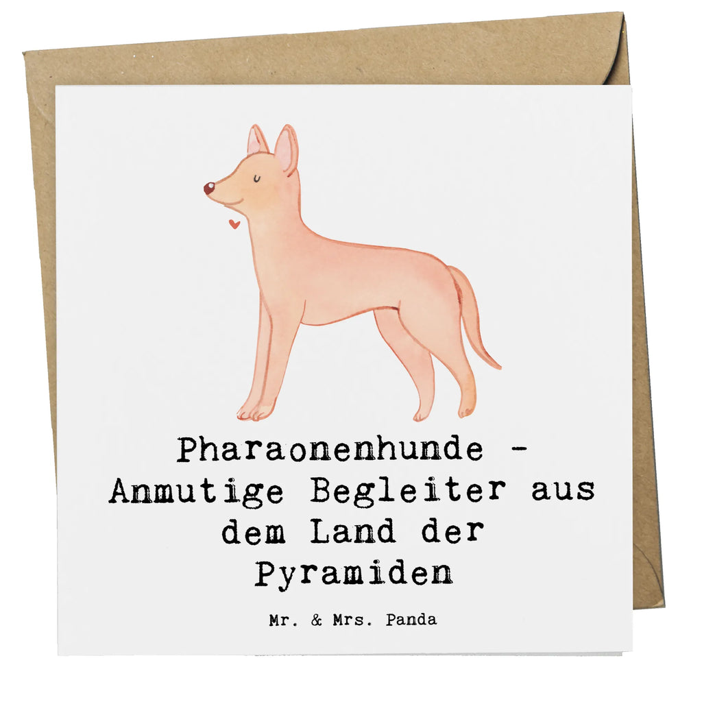 Deluxe Karte Pharaonenhund Freunde Klappkarte, Glückwunschkarte, Hochzeitskarte, Grußkarte, Hochwertige Klappkarte, Geburtstagskarte, Hochwertige Grußkarte, Karte, Einladungskarte, Hund, Hunderasse, Rassehund, Hundebesitzer, Geschenk, Tierfreund, Schenken, Welpe