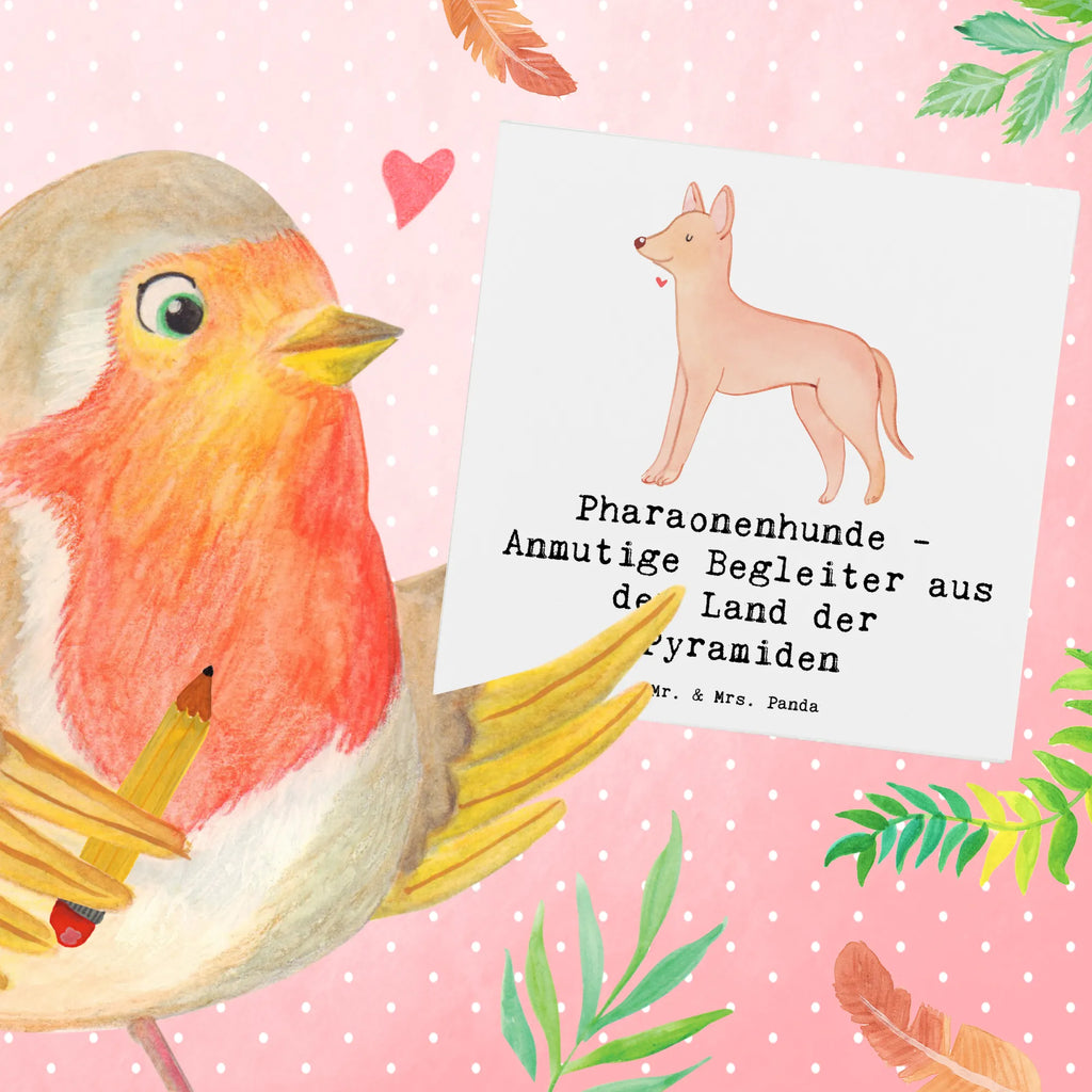 Deluxe Karte Pharaonenhund Freunde Klappkarte, Glückwunschkarte, Hochzeitskarte, Grußkarte, Hochwertige Klappkarte, Geburtstagskarte, Hochwertige Grußkarte, Karte, Einladungskarte, Hund, Hunderasse, Rassehund, Hundebesitzer, Geschenk, Tierfreund, Schenken, Welpe