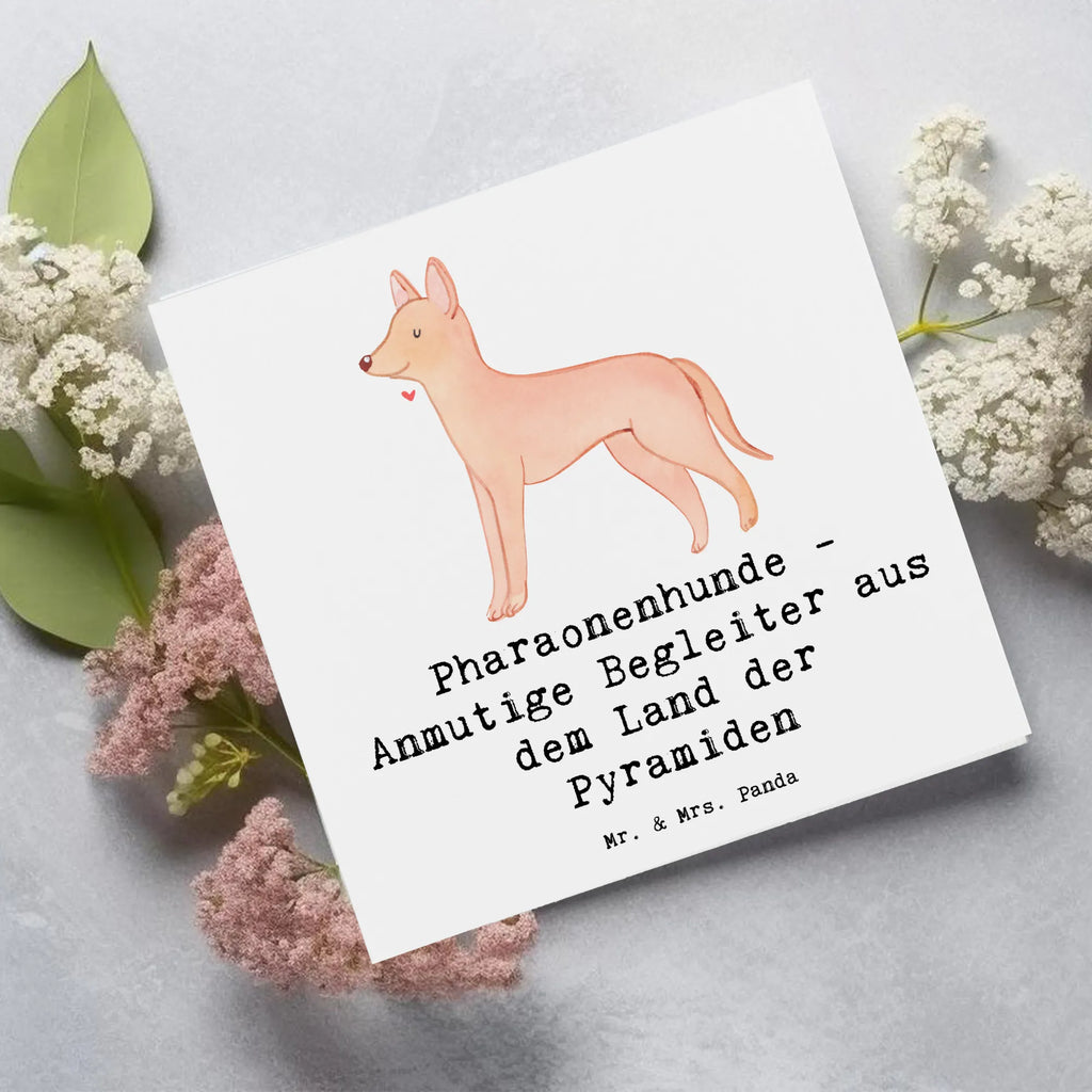 Deluxe Karte Pharaonenhund Freunde Klappkarte, Glückwunschkarte, Hochzeitskarte, Grußkarte, Hochwertige Klappkarte, Geburtstagskarte, Hochwertige Grußkarte, Karte, Einladungskarte, Hund, Hunderasse, Rassehund, Hundebesitzer, Geschenk, Tierfreund, Schenken, Welpe