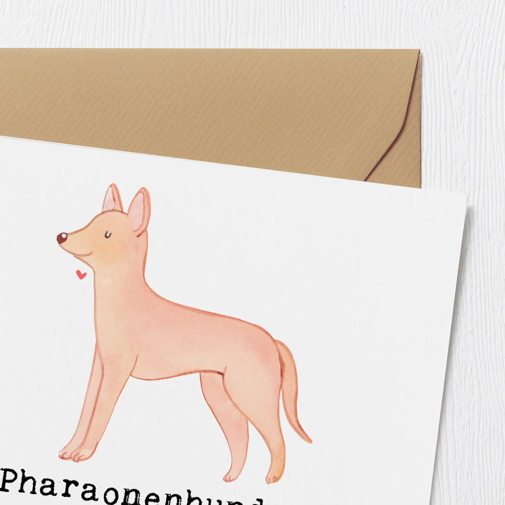 Deluxe Karte Pharaonenhund Freunde Klappkarte, Glückwunschkarte, Hochzeitskarte, Grußkarte, Hochwertige Klappkarte, Geburtstagskarte, Hochwertige Grußkarte, Karte, Einladungskarte, Hund, Hunderasse, Rassehund, Hundebesitzer, Geschenk, Tierfreund, Schenken, Welpe