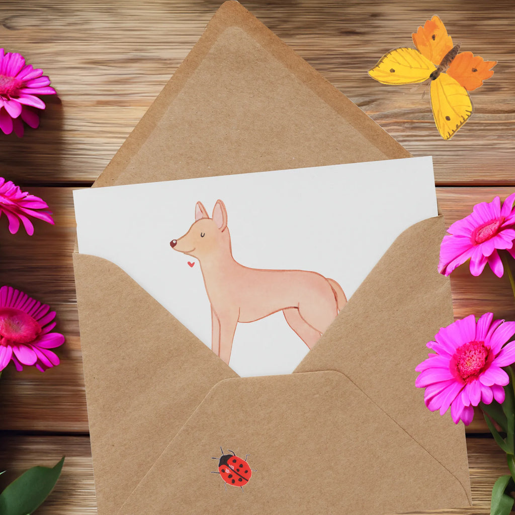 Deluxe Karte Pharaonenhund Eleganz Grußkarte, Karte, Klappkarte, Einladungskarte, Geburtstagskarte, Glückwunschkarte, Hochwertige Grußkarte, Hochwertige Klappkarte, Hochzeitskarte, Hund, Hunderasse, Rassehund, Hundebesitzer, Geschenk, Tierfreund, Schenken, Welpe