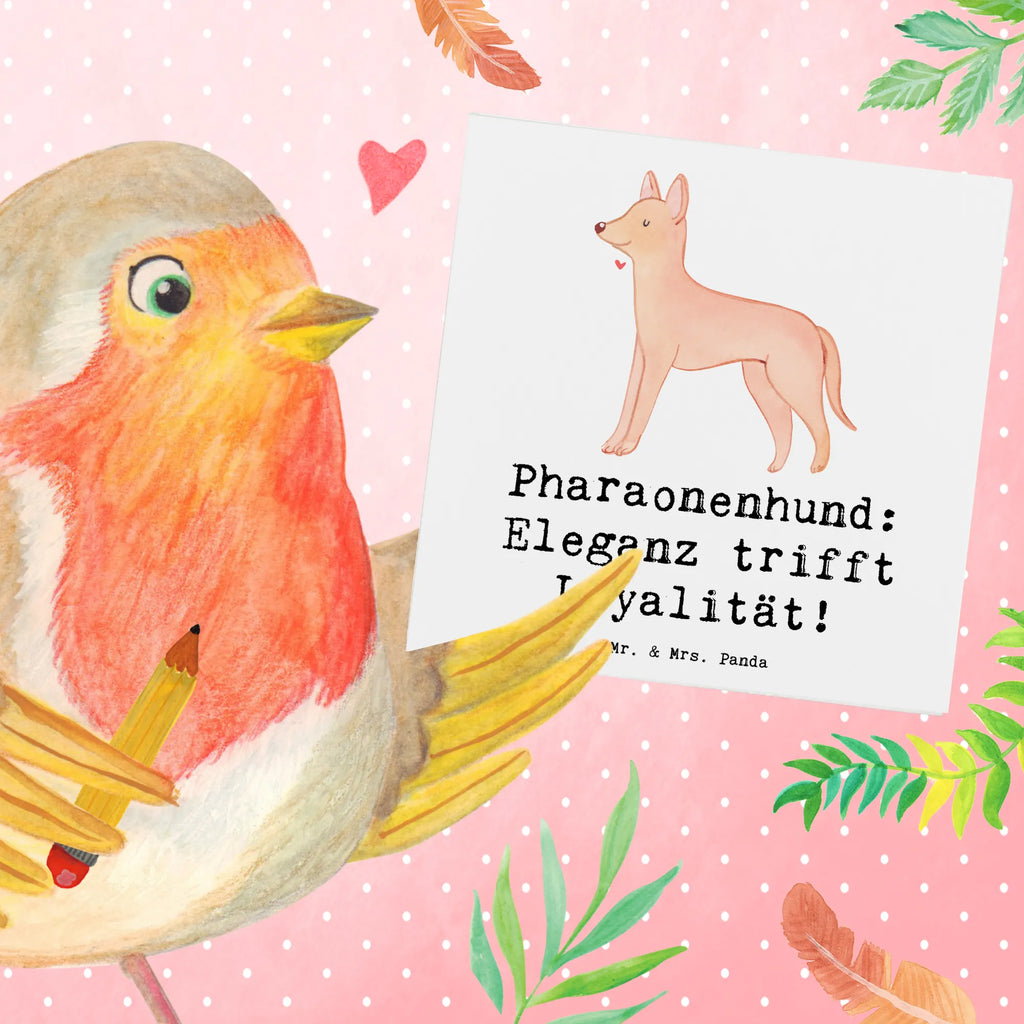 Deluxe Karte Pharaonenhund Eleganz Grußkarte, Karte, Klappkarte, Einladungskarte, Geburtstagskarte, Glückwunschkarte, Hochwertige Grußkarte, Hochwertige Klappkarte, Hochzeitskarte, Hund, Hunderasse, Rassehund, Hundebesitzer, Geschenk, Tierfreund, Schenken, Welpe