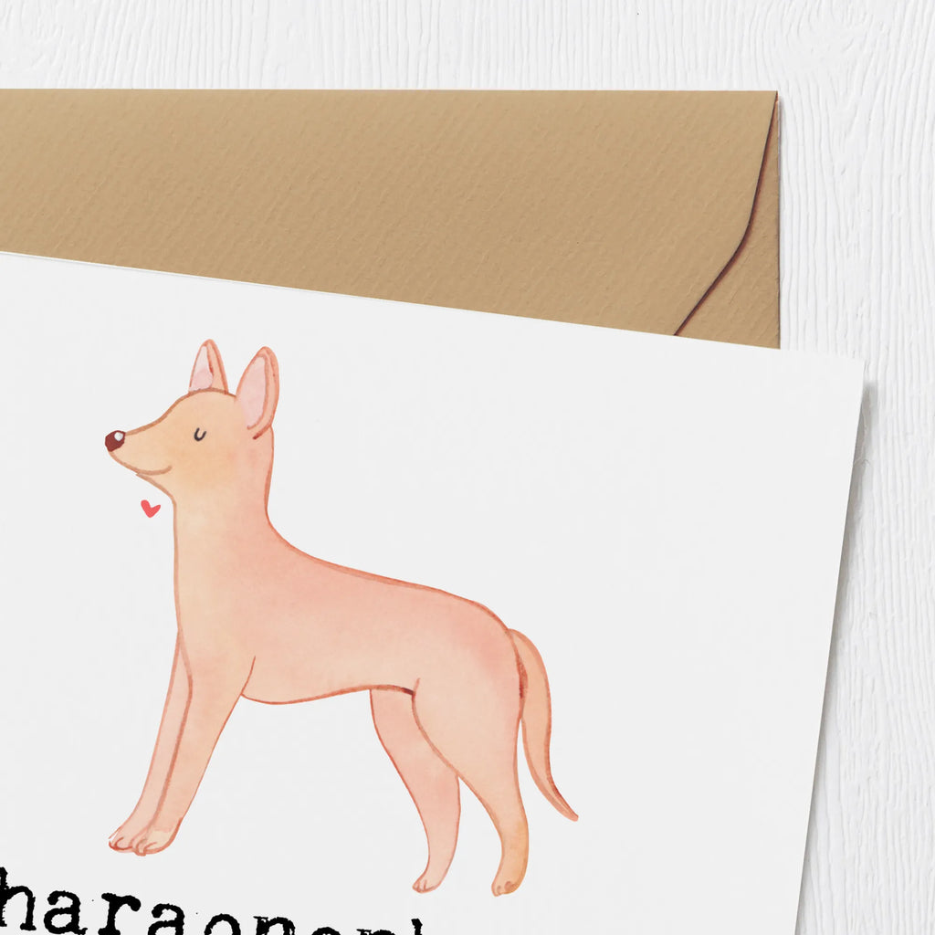 Deluxe Karte Pharaonenhund Eleganz Grußkarte, Karte, Klappkarte, Einladungskarte, Geburtstagskarte, Glückwunschkarte, Hochwertige Grußkarte, Hochwertige Klappkarte, Hochzeitskarte, Hund, Hunderasse, Rassehund, Hundebesitzer, Geschenk, Tierfreund, Schenken, Welpe