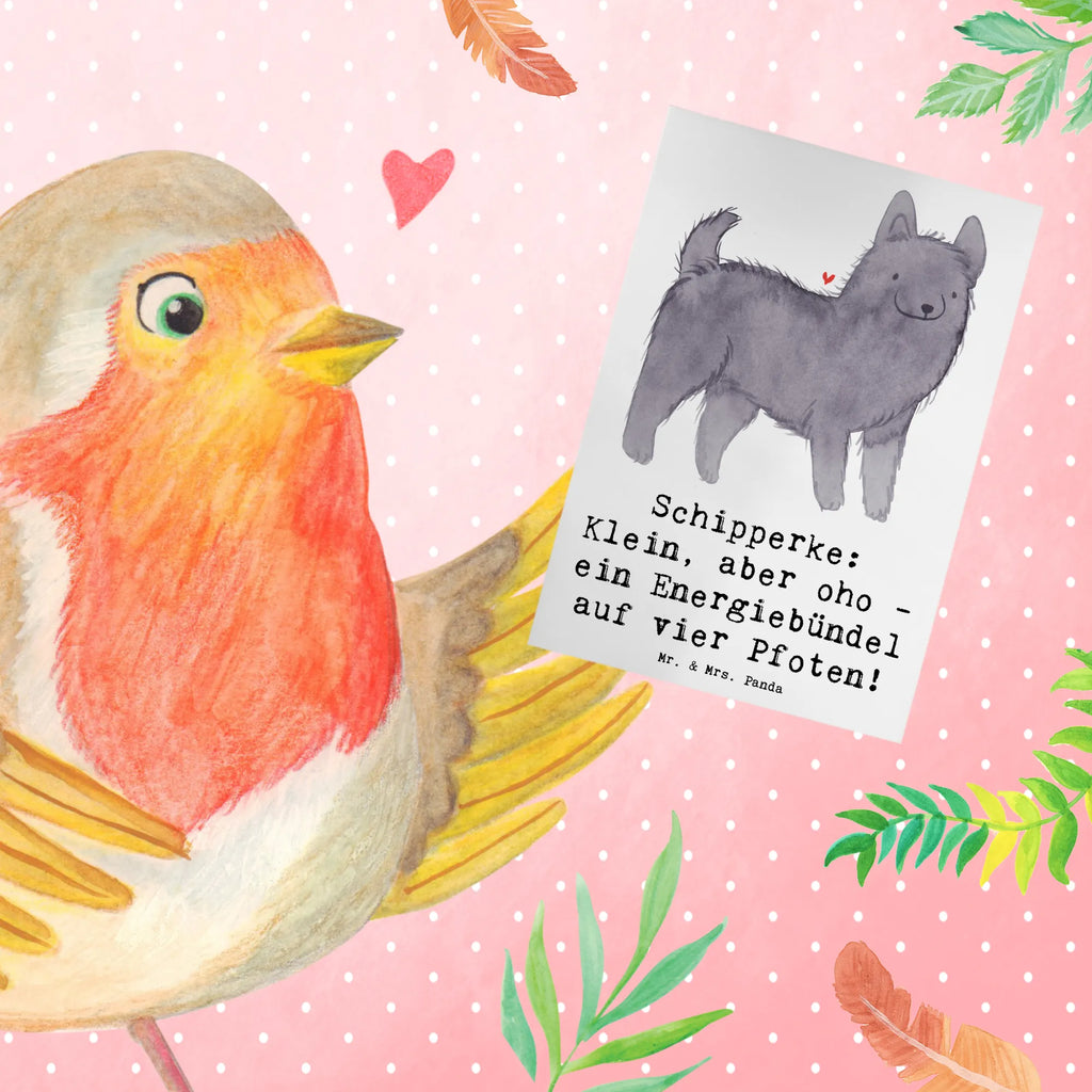 Greetings card Schipperke: Klein, aber oho - ein Energiebündel auf vier Pfoten! Karte, Klappkarte, Geburtstagskarte, Einladungskarte, Hochzeitskarte, Ansichtskarten, Grußkarte, Glückwunschkarte, Hund, Hunderasse, Rassehund, Hundebesitzer, Geschenk, Tierfreund, Schenken, Welpe