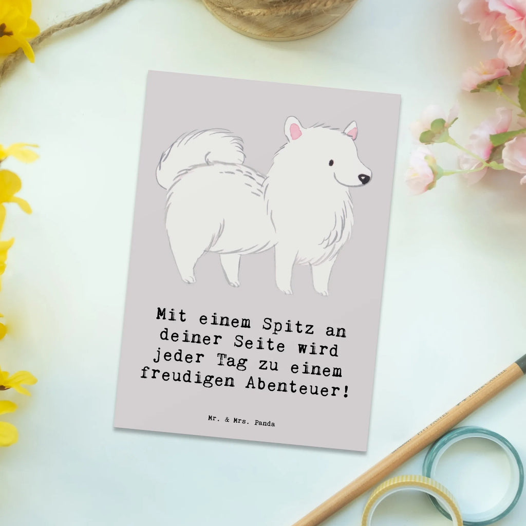 Postkarte Freudiger Spitz Postkarte, Dankeskarte, Geburtstagskarte, Karte, Einladungskarten Geburtstag, Grußkarte, Ansichtskarte, Einladung, Ansichtskarten, Geschenkkarte, Einladungskarte, Einladung Geburtstag, Hund, Hunderasse, Rassehund, Hundebesitzer, Geschenk, Tierfreund, Schenken, Welpe