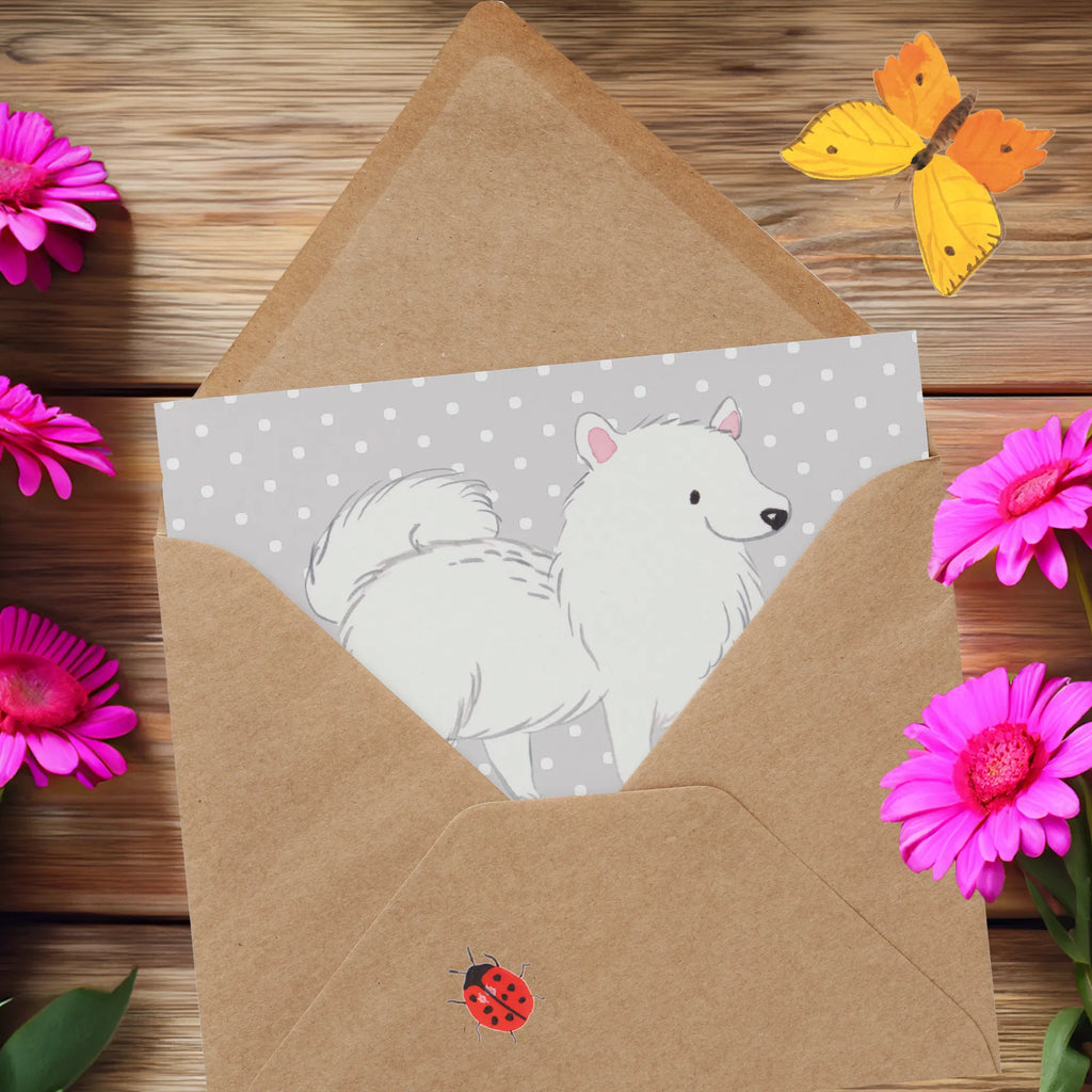 Deluxe Karte Freudiger Spitz Karte, Hochwertige Grußkarte, Geburtstagskarte, Hochzeitskarte, Einladungskarte, Klappkarte, Glückwunschkarte, Grußkarte, Hochwertige Klappkarte, Hund, Hunderasse, Rassehund, Hundebesitzer, Geschenk, Tierfreund, Schenken, Welpe