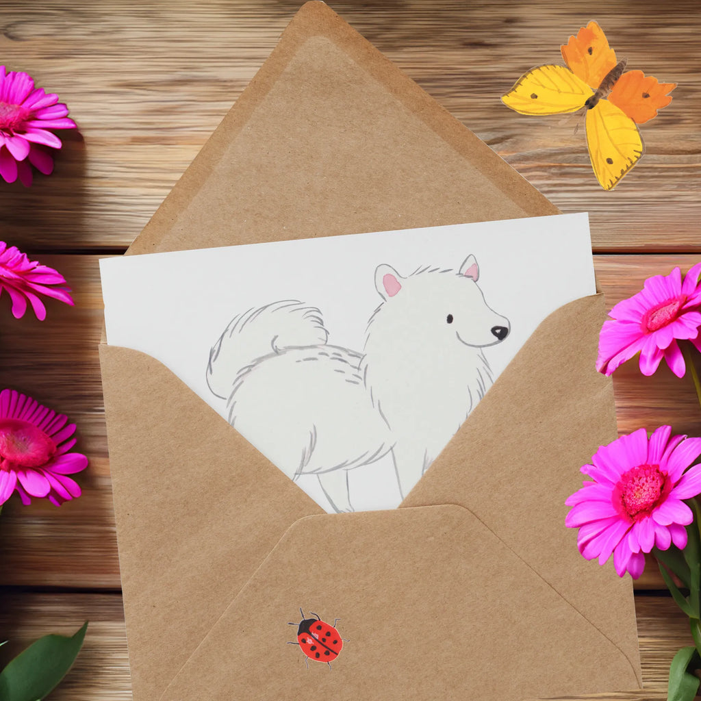 Deluxe Karte Freudiger Spitz Karte, Hochwertige Grußkarte, Geburtstagskarte, Hochzeitskarte, Einladungskarte, Klappkarte, Glückwunschkarte, Grußkarte, Hochwertige Klappkarte, Hund, Hunderasse, Rassehund, Hundebesitzer, Geschenk, Tierfreund, Schenken, Welpe