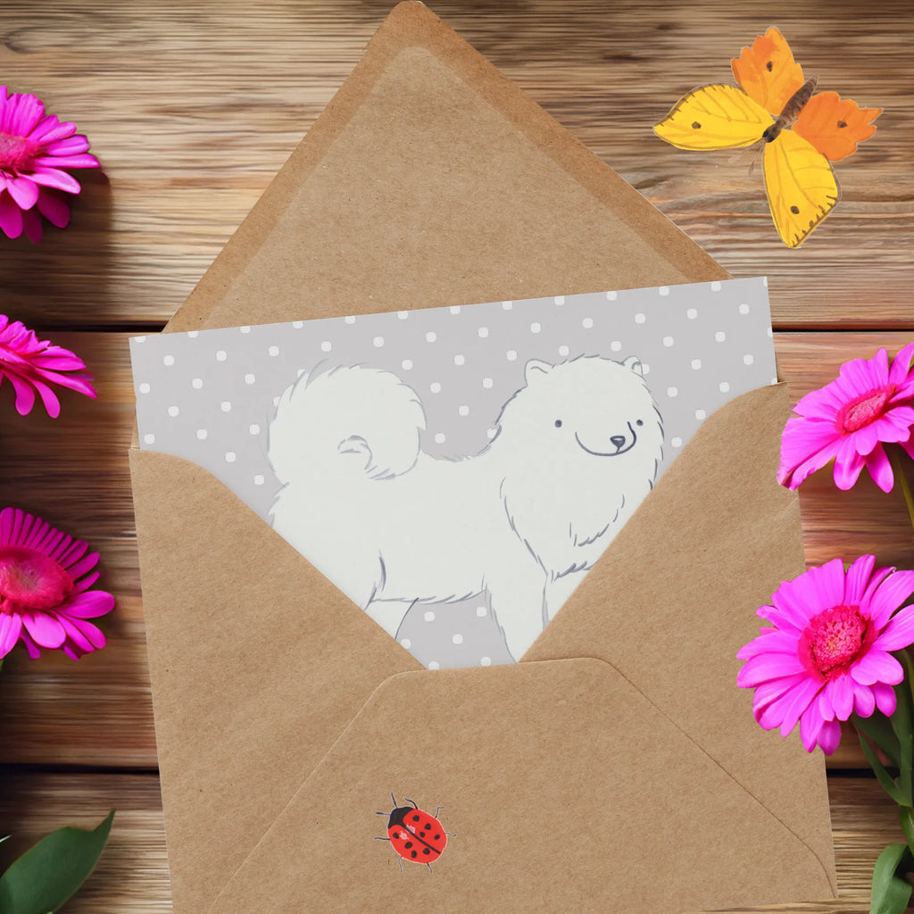 Deluxe Karte Samojede Licht Einladungskarte, Hochzeitskarte, Karte, Hochwertige Klappkarte, Geburtstagskarte, Grußkarte, Hochwertige Grußkarte, Glückwunschkarte, Klappkarte, Hund, Hunderasse, Rassehund, Hundebesitzer, Geschenk, Tierfreund, Schenken, Welpe