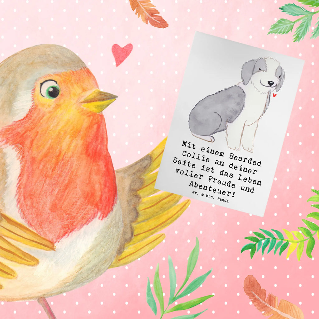 Grußkarte Bearded Collie Freund Karte, Geburtstagskarte, Glückwunschkarte, Ansichtskarten, Hochzeitskarte, Einladungskarte, Grußkarte, Klappkarte, Hund, Hunderasse, Rassehund, Hundebesitzer, Geschenk, Tierfreund, Schenken, Welpe