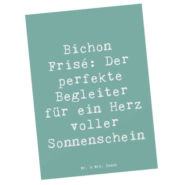 Postkarte Spruch Bichon Frisé Freude