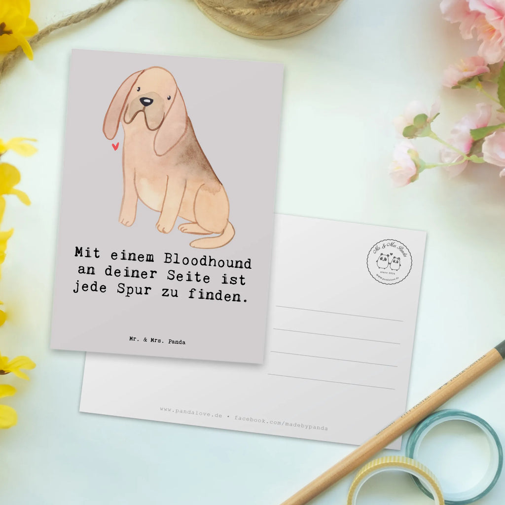 Postkarte Bloodhound Spur Einladungskarte, Geburtstagskarte, Dankeskarte, Ansichtskarte, Geschenkkarte, Grußkarte, Karte, Ansichtskarten, Einladungskarten Geburtstag, Einladung Geburtstag, Postkarte, Einladung, Hund, Hunderasse, Rassehund, Hundebesitzer, Geschenk, Tierfreund, Schenken, Welpe
