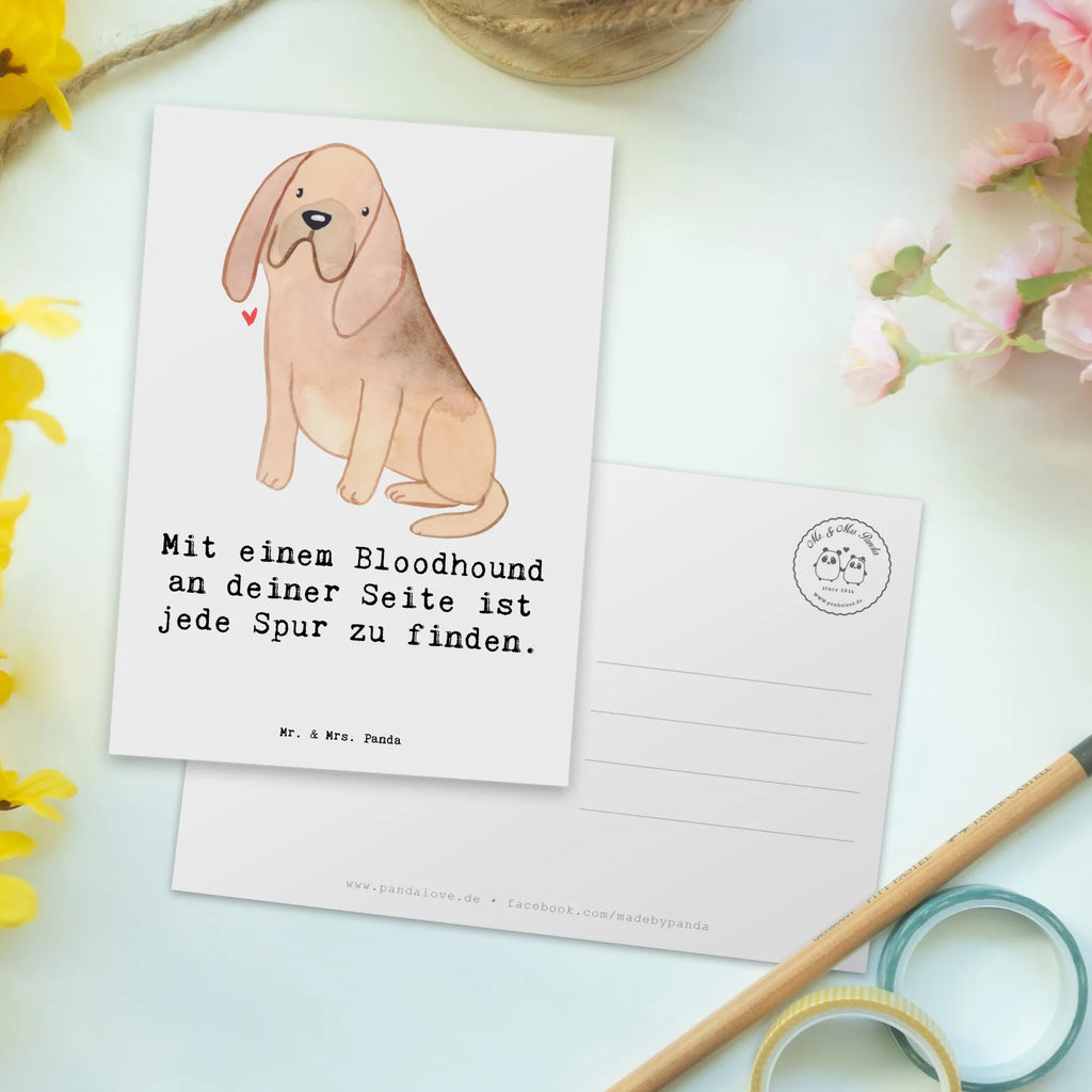 Postkarte Bloodhound Spur Einladungskarte, Geburtstagskarte, Dankeskarte, Ansichtskarte, Geschenkkarte, Grußkarte, Karte, Ansichtskarten, Einladungskarten Geburtstag, Einladung Geburtstag, Postkarte, Einladung, Hund, Hunderasse, Rassehund, Hundebesitzer, Geschenk, Tierfreund, Schenken, Welpe