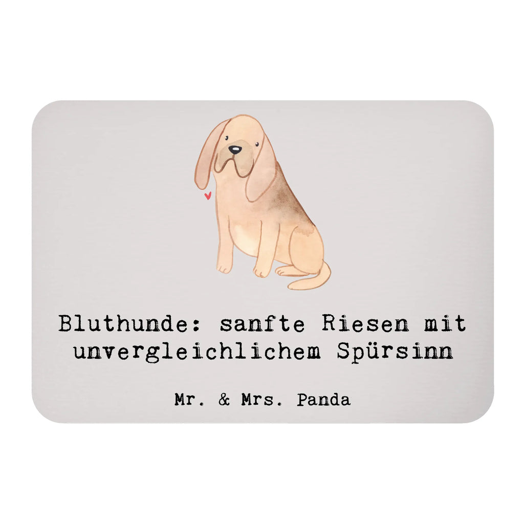 Magnet Bluthunde Notiz Magnet, Kühlschrank Dekoration, Souvenir Magnet, Kühlschrankmagnet, Whiteboard Magnet, Motivmagnete, Pinnwandmagnet, Dekomagnet, Hund, Hunderasse, Rassehund, Hundebesitzer, Geschenk, Tierfreund, Schenken, Welpe