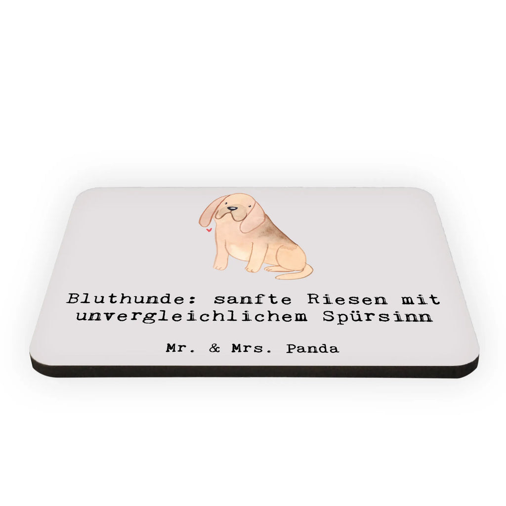 Magnet Bluthunde Notiz Magnet, Kühlschrank Dekoration, Souvenir Magnet, Kühlschrankmagnet, Whiteboard Magnet, Motivmagnete, Pinnwandmagnet, Dekomagnet, Hund, Hunderasse, Rassehund, Hundebesitzer, Geschenk, Tierfreund, Schenken, Welpe