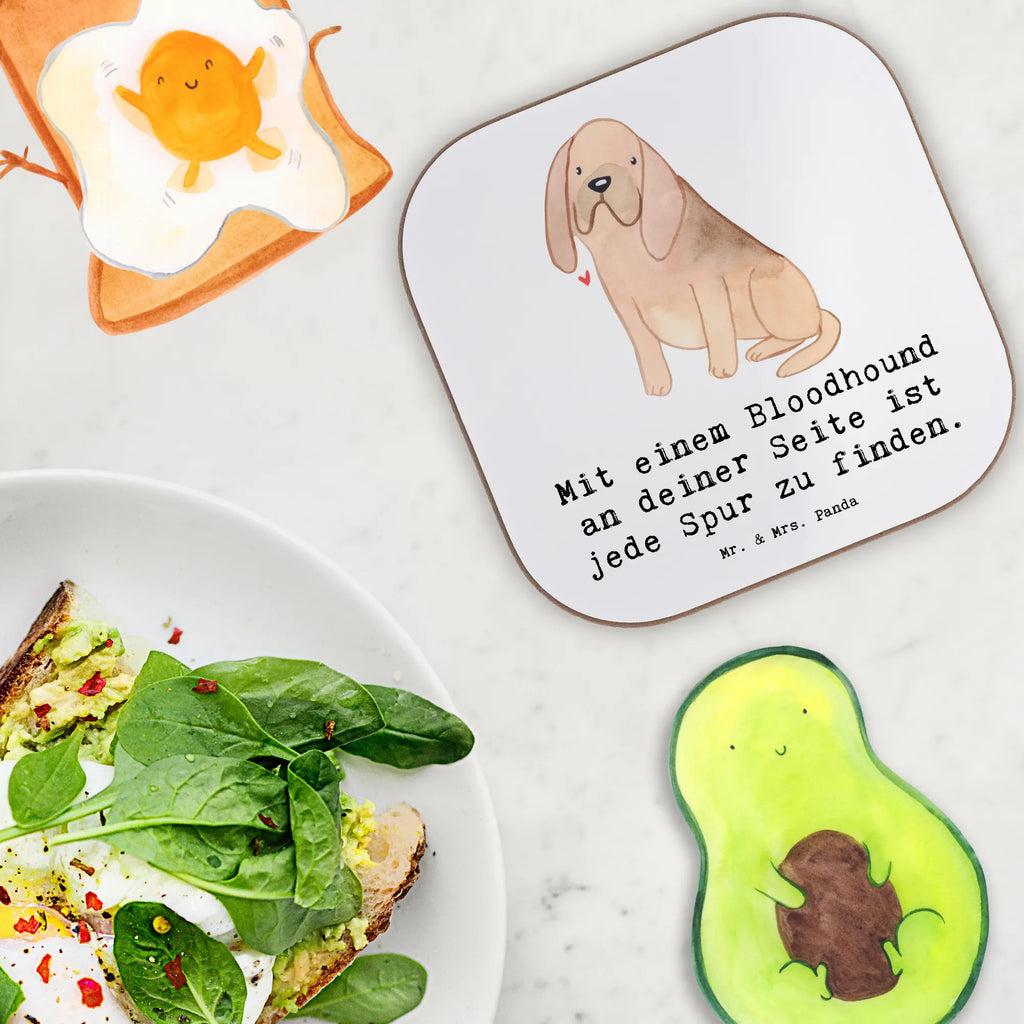 Untersetzer Bloodhound Spur Glasuntersetzer, Bierdeckel, Untersetzer Design, Untersetzer aus Holz, Untersetzer Gläser, Tassen Untersetzer, Holzuntersetzer, Getränkeuntersetzer, Korkuntersetzer, Untersetzer für Gläser, Untersetzer Holz, Untersetzer, Hund, Hunderasse, Rassehund, Hundebesitzer, Geschenk, Tierfreund, Schenken, Welpe
