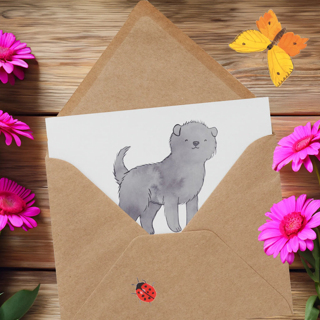 Deluxe Karte Affenpinscher Äffchen Karte, Grußkarte, Hochzeitskarte, Einladungskarte, Hochwertige Grußkarte, Klappkarte, Hochwertige Klappkarte, Glückwunschkarte, Geburtstagskarte, Hund, Hunderasse, Rassehund, Hundebesitzer, Geschenk, Tierfreund, Schenken, Welpe