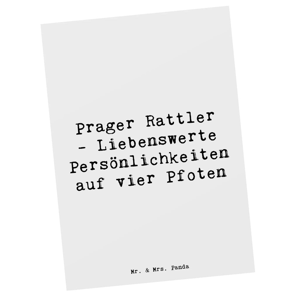 Postcard Saying Prager Rattler - Liebenswerte Persönlichkeiten auf vier Pfoten Grußkarte, Ansichtskarte, Ansichtskarten, Einladung, Einladung Geburtstag, Geburtstagskarte, Einladungskarte, Geschenkkarte, Karte, Einladungskarten Geburtstag, Postkarte, Dankeskarte, Hund, Hunderasse, Rassehund, Hundebesitzer, Geschenk, Tierfreund, Schenken, Welpe