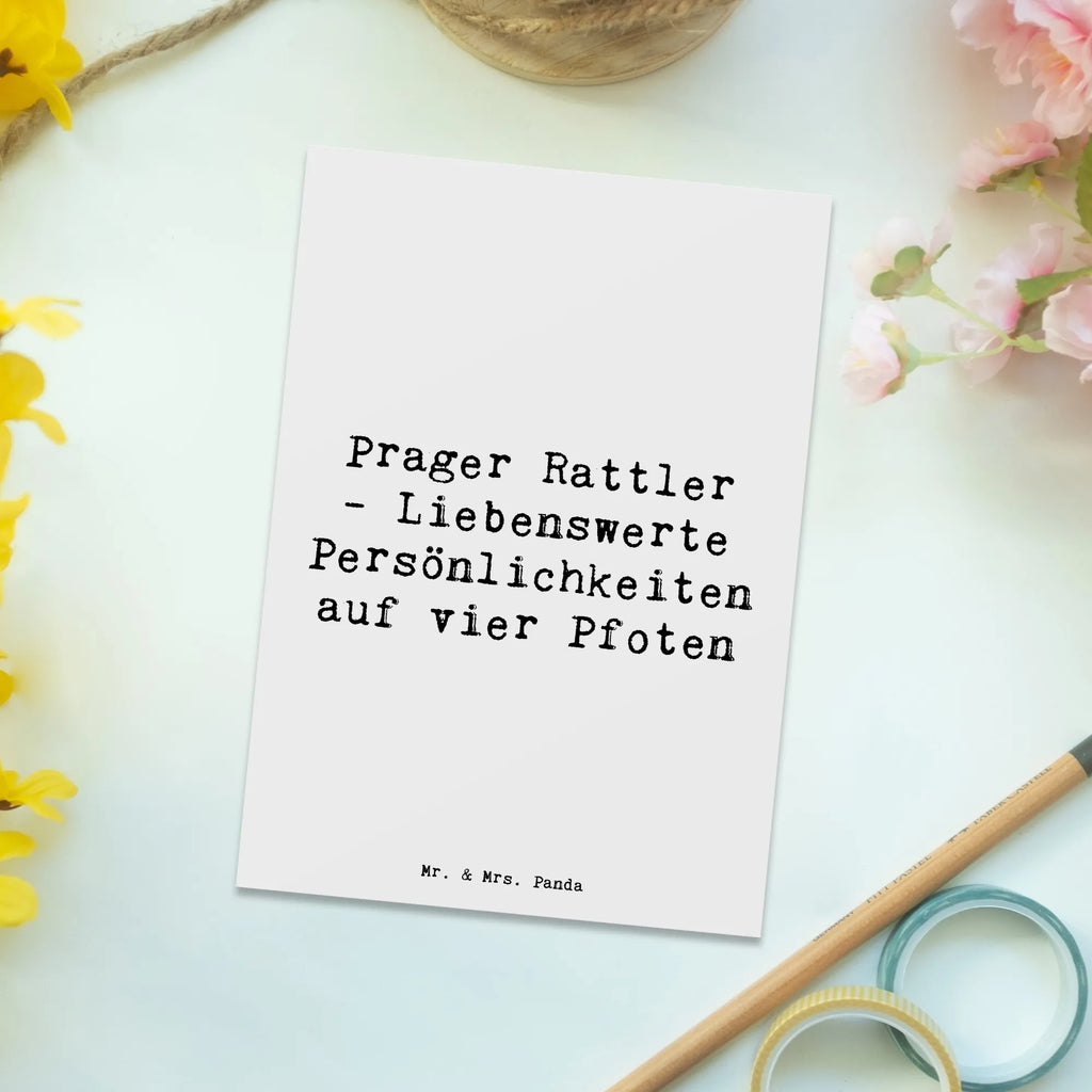 Postcard Saying Prager Rattler - Liebenswerte Persönlichkeiten auf vier Pfoten Grußkarte, Ansichtskarte, Ansichtskarten, Einladung, Einladung Geburtstag, Geburtstagskarte, Einladungskarte, Geschenkkarte, Karte, Einladungskarten Geburtstag, Postkarte, Dankeskarte, Hund, Hunderasse, Rassehund, Hundebesitzer, Geschenk, Tierfreund, Schenken, Welpe