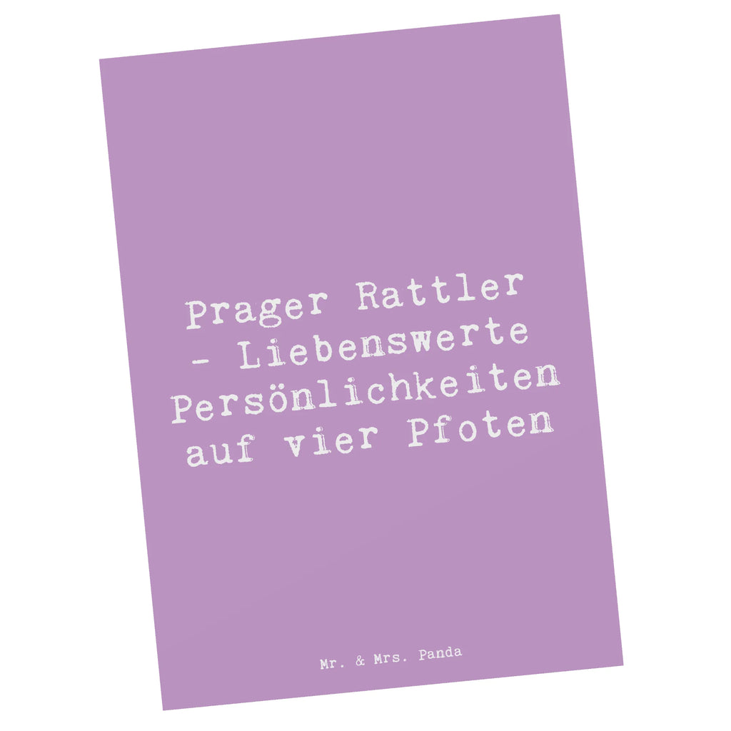 Postcard Saying Prager Rattler - Liebenswerte Persönlichkeiten auf vier Pfoten Grußkarte, Ansichtskarte, Ansichtskarten, Einladung, Einladung Geburtstag, Geburtstagskarte, Einladungskarte, Geschenkkarte, Karte, Einladungskarten Geburtstag, Postkarte, Dankeskarte, Hund, Hunderasse, Rassehund, Hundebesitzer, Geschenk, Tierfreund, Schenken, Welpe